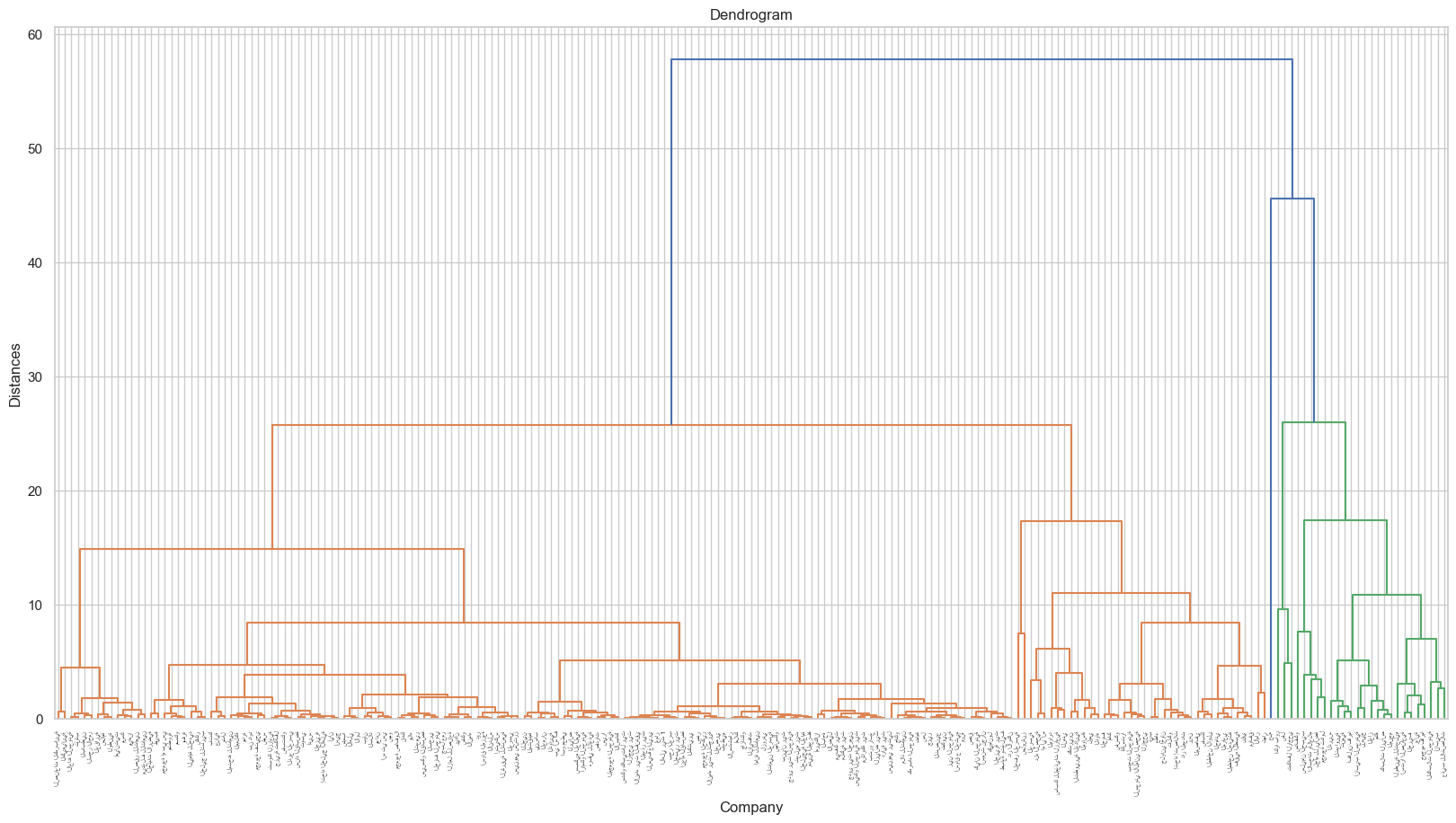 Saudi Stock Market Clustering